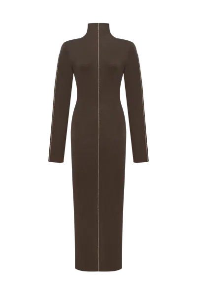 Dark brown long sleeve maxi dress