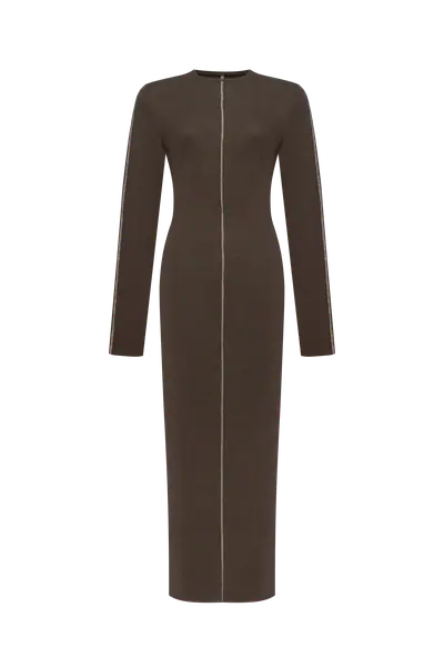 Dark brown long sleeve maxi dress